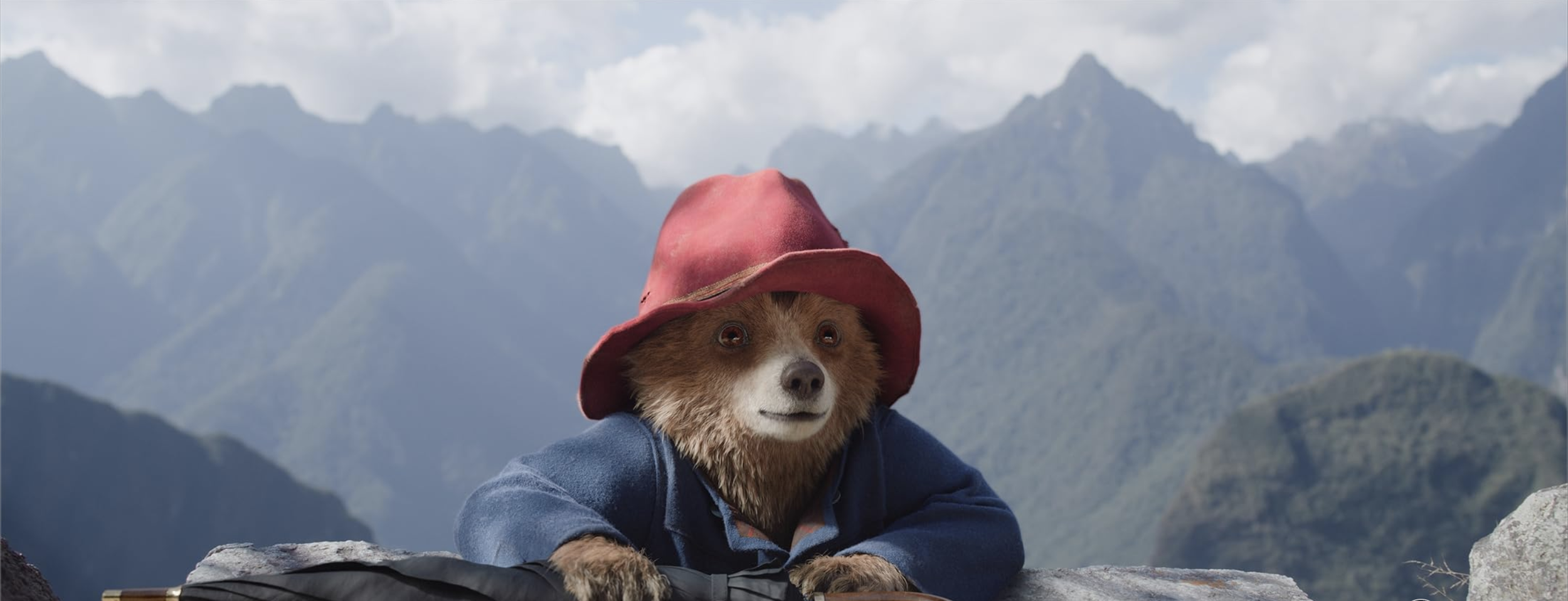 Paddington in Peru